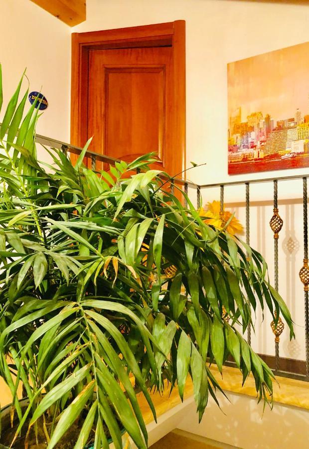 سيتارا B&B Lemons Coast المظهر الخارجي الصورة